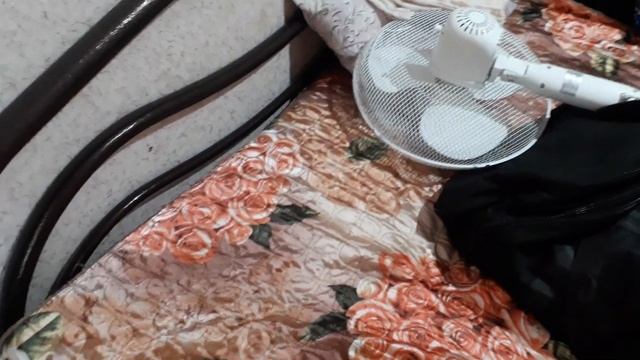 5 эффективных способов уничтожить постельных клопов в квартире смотреть онлайн