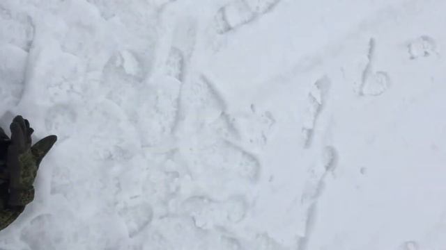 Голавль со льда, река Кинель, Самарская область. Поймал , отпусти! смотреть онлайн