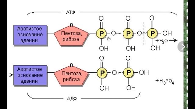 ДЛR#1112. Человек в электрическом поле смотреть онлайн