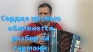 Сердце кровью обливается // разбор на гармони в тональности До мажор