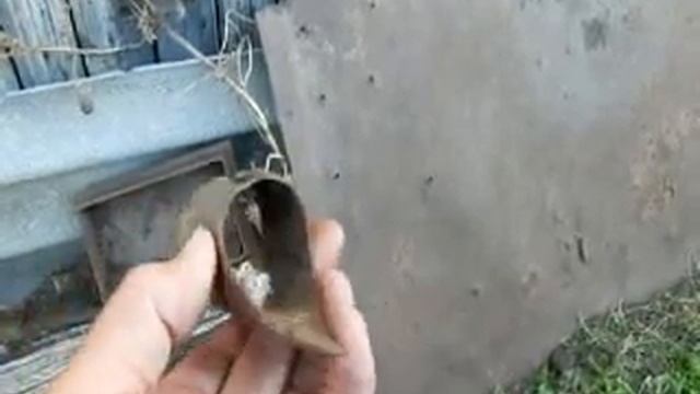 Плоскорез - коса плюс вилы получился плоскорез