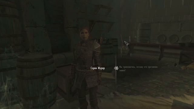 Skyrim УНИКАЛЬНЫЕ ЩИТЫ Заметки коллекционера #5 смотреть онлайн