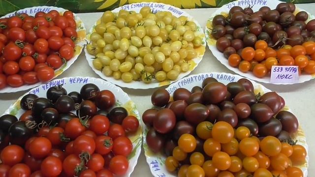 ТОМАТЫ - ЧЕРРИ ОЧЕНЬ СЛАДКИЕ! Ольга Чернова. смотреть онлайн
