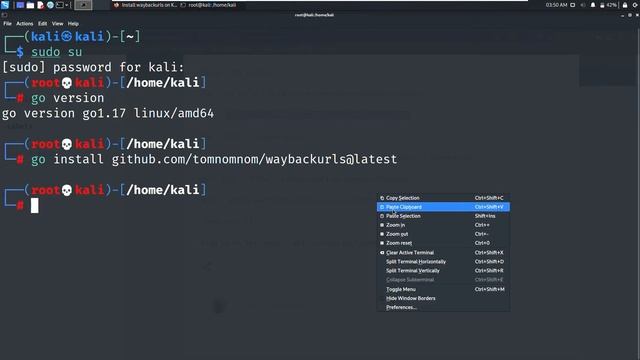 Install Waybackurls on Kali Linux [Updated] смотреть онлайн