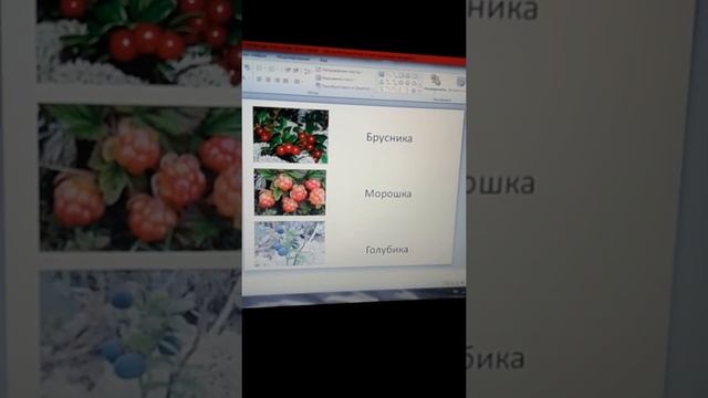 Проект Разнообразие природы Красноярского края смотреть онлайн