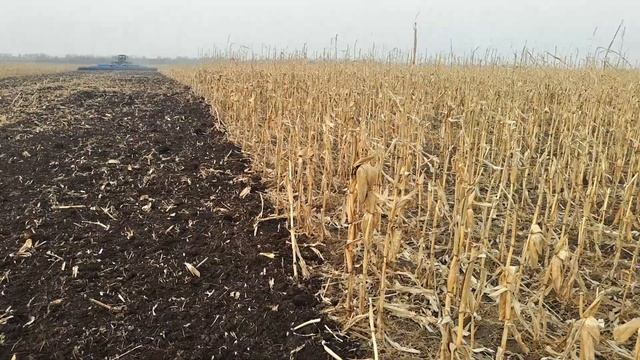 Трактор Claas Xerion 5000 и дисковая борона Lemken Heliodor Gigant 12S 1600 АПК Родное #6 смотреть онлайн