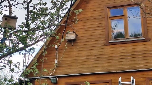 Анастасия. Летний день с голубем Еше смотреть онлайн