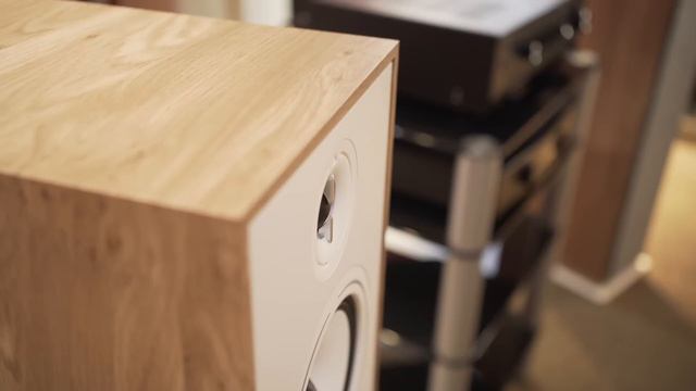 LA MEILLEURE ENCEINTE BOREA de TRIANGLE ! plus besoin de caisson avec La BR10 ? Avis & infos exclu смотреть онлайн