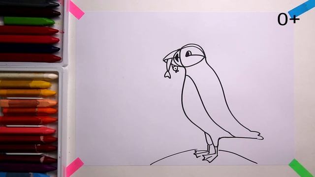 #какнарисовать #ТУПИК Уроки Рисования Для Детей #howtodraw #puffin #drawforchildren