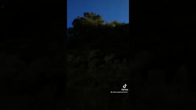 Абхазия, поездка в горы! смотреть онлайн