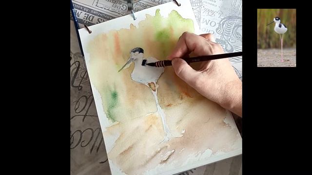 Птицы акварелью / Birds in watercolor смотреть онлайн