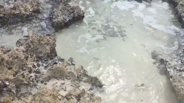 Isla cozumel| Mis XV años | According to Me смотреть онлайн