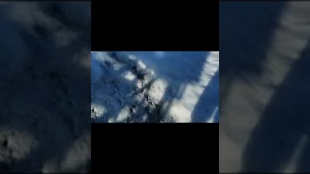 Мясо (сало) венгерской мангалицы. Мнение покупателя Реальный отзыв (аудио) СЛУШАТЬ Обязательно!! смотреть онлайн