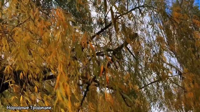 25 ноября День иконы Пресвятой Богородицы Милостивой Кикской. Народные праздники и традиции смотреть онлайн