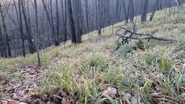 Новое озеро | Новые места смотреть онлайн