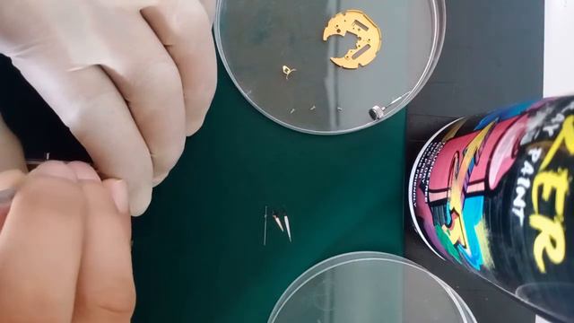 Bulova V8 F06 161 Swiss movement | Cleaning and Disassemble of every parts смотреть онлайн