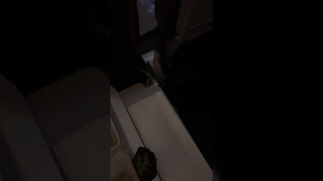 #3 #Индия 2018/2019 лечу аэрофлотом #еда в самолете Москва Дели смотреть онлайн