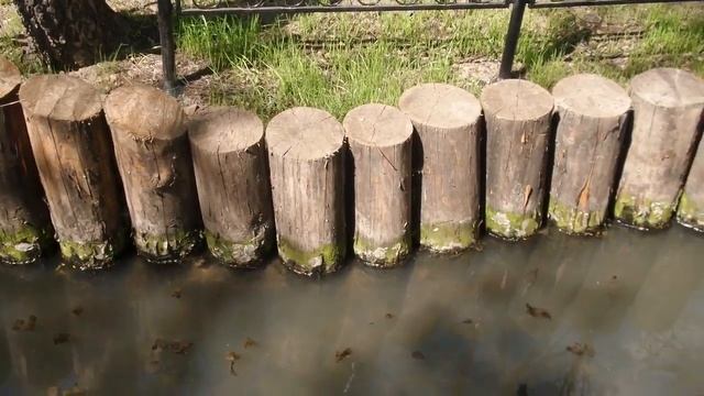 Поиск реки Чернушки в Покровском Стрешнево смотреть онлайн