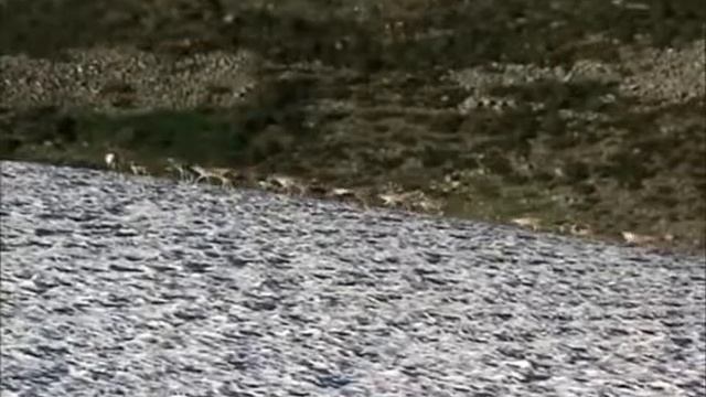 Красоты Кузнецкого Алатау смотреть онлайн