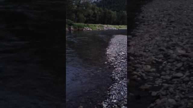 Crowsnest river trophy catch on the fly смотреть онлайн