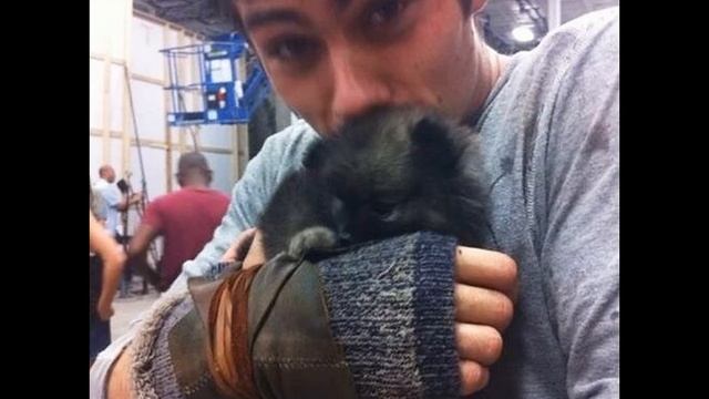 Дилан О'Брайен/Dylan O'Brien смотреть онлайн