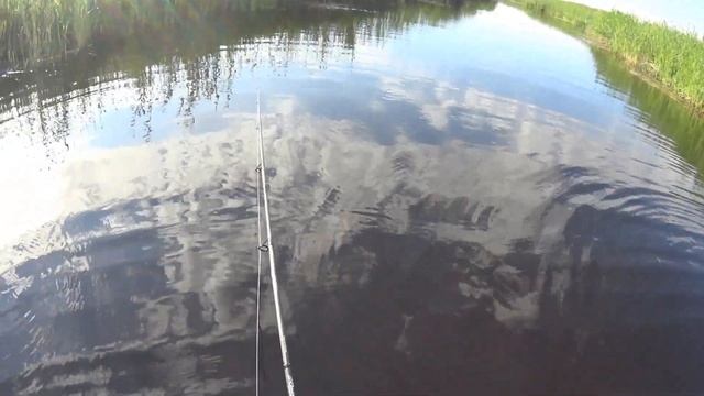 Рыбалка в Казахстане.29.08.2020.Река Ишим поселок Ильинка. смотреть онлайн