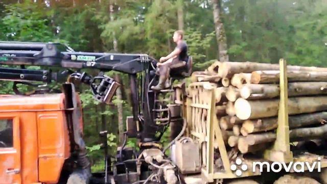Как работают в лесу лесовозы. #ЛесовозыРабота смотреть онлайн