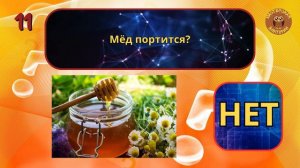 Викторина «ДА или НЕТ» - Выпуск 2 / Проверь свой мозг!