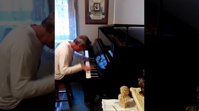 Swan lake 🎶Tchaikovsky смотреть онлайн