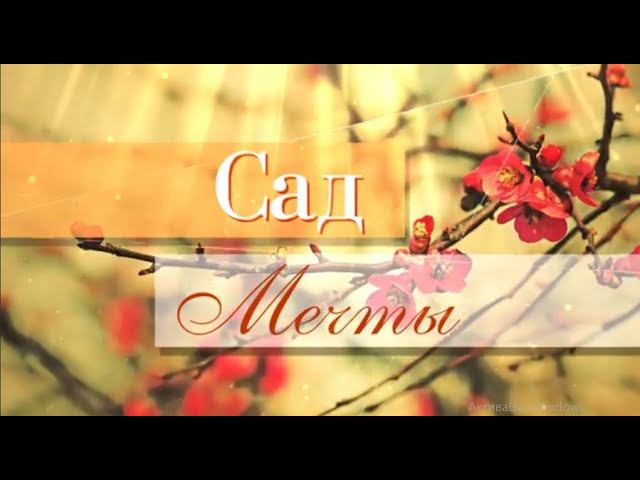 Сад мечты. Выпуск 28 смотреть онлайн