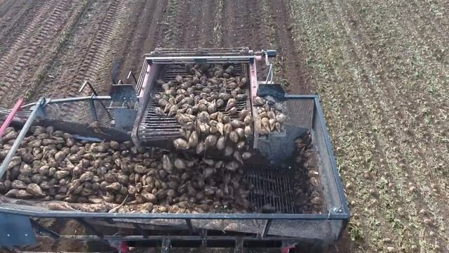 Michigan Sugar Beet Harvest | Fall 2017 смотреть онлайн