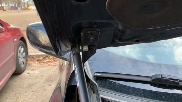 Амортизаторы капота Рено Каджар