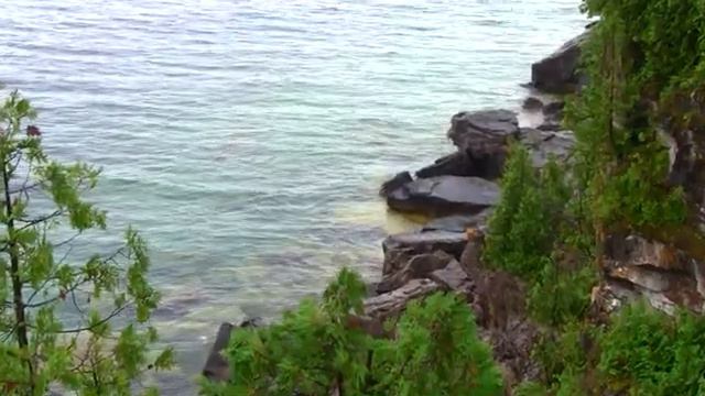 Дикая природа Канады (часть 2-я).  Остров цветочных горшков.