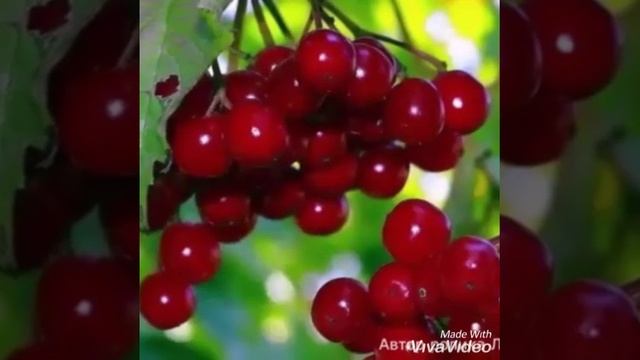 БАЛАННАРДАЙ ЯЗМЫШ смотреть онлайн