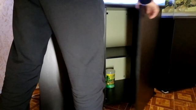 Аквариумы в аренду. смотреть онлайн