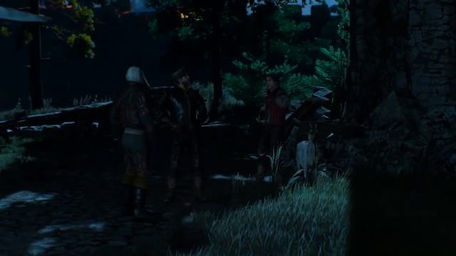 The Witcher 3: Wild Hunt "Мод школы Плотвы" #75 - В гостях хорошо, а дома лучше смотреть онлайн