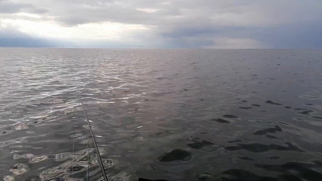 #Калининград# море #САРГАН# смотреть онлайн