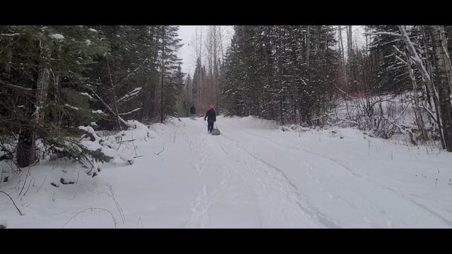 Не зимняя канадская зима, катаемся на санках, январь 2024 смотреть онлайн