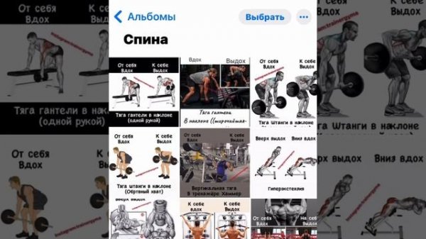 ДИСТАНЦИОННАЯ ТРЕНИРОВКА ЧЕРЕЗ МЕССЕНДЖЕР.ОБРАЩАЙТЕСЬ https://vk.com/lifetrainerrr