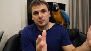 Ошибки при содержании попугая Ара. Макао пробег 4.5 мес.