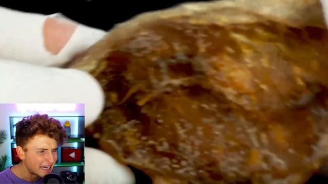 This FOOD Time Lapse Will SHOCK YOU.. смотреть онлайн