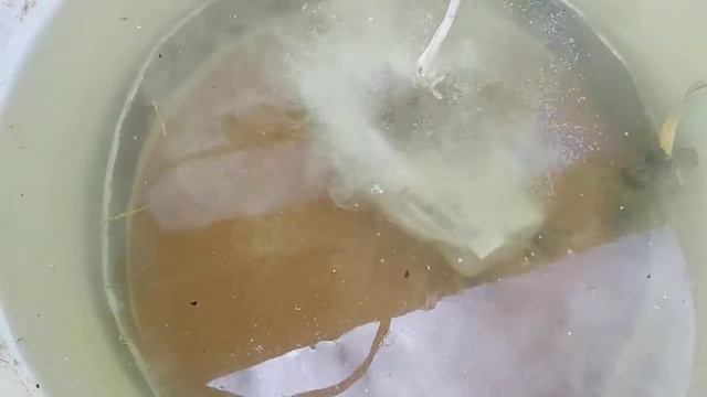 Очистка электролизом суппортов смотреть онлайн