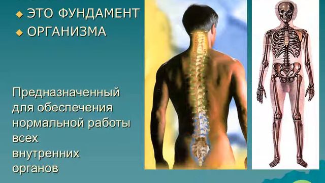 Ролик компании "ПОЛУСТЕЛЬКА БЫКОВА" на 18-летии АРГО. Архив. смотреть онлайн