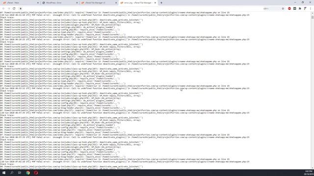 Wordpress: There has been a critical error on your website. Fatal Error. Uncaught Error: смотреть онлайн