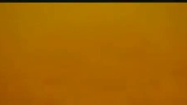 FocusFish  летом