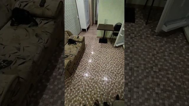 Квартира в аренду длительно. 2021 смотреть онлайн