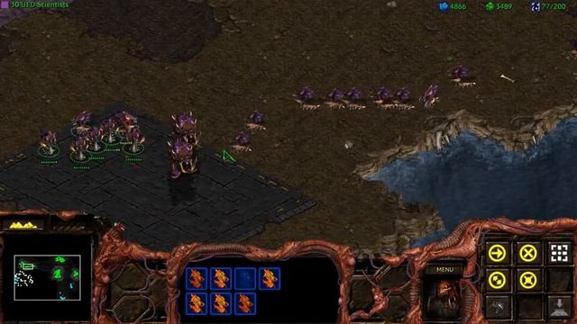 Starcraft: Brood War Remastered - Episode 6: Zerg PC FULL GAME Longplay Gameplay Walkthrough VGL смотреть онлайн