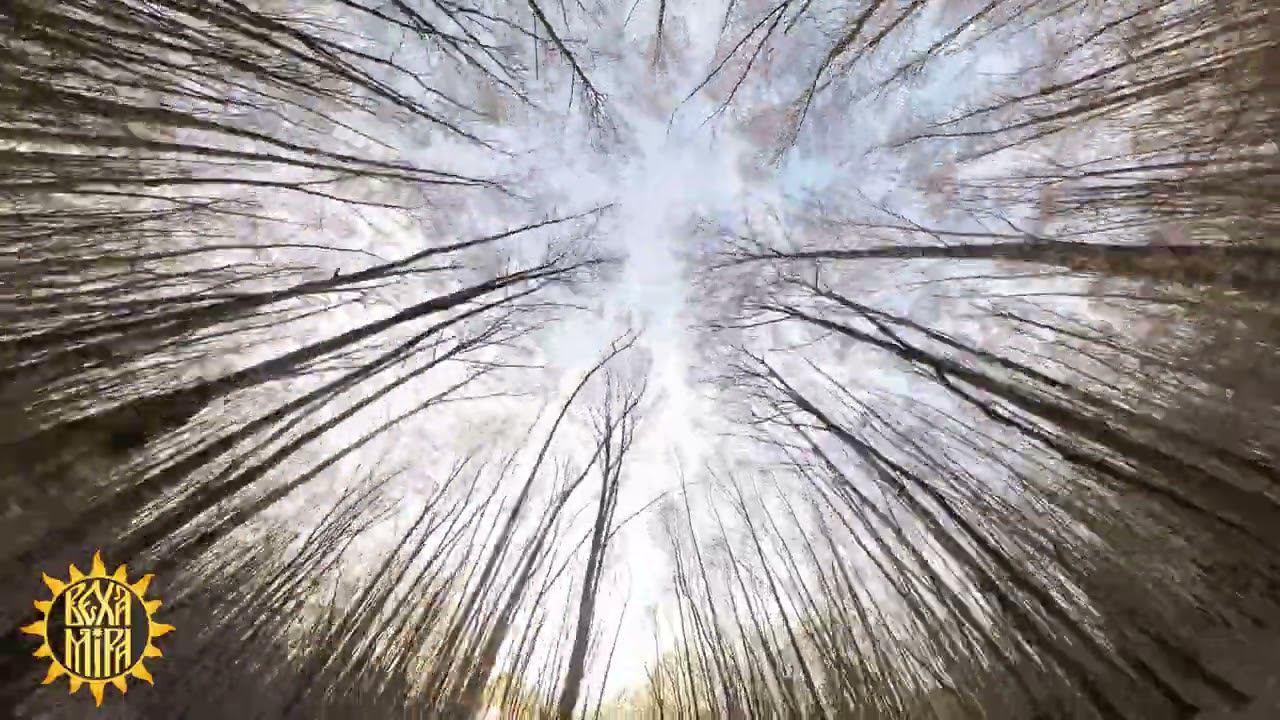 Каменные джунгли. Снова весна... смотреть онлайн