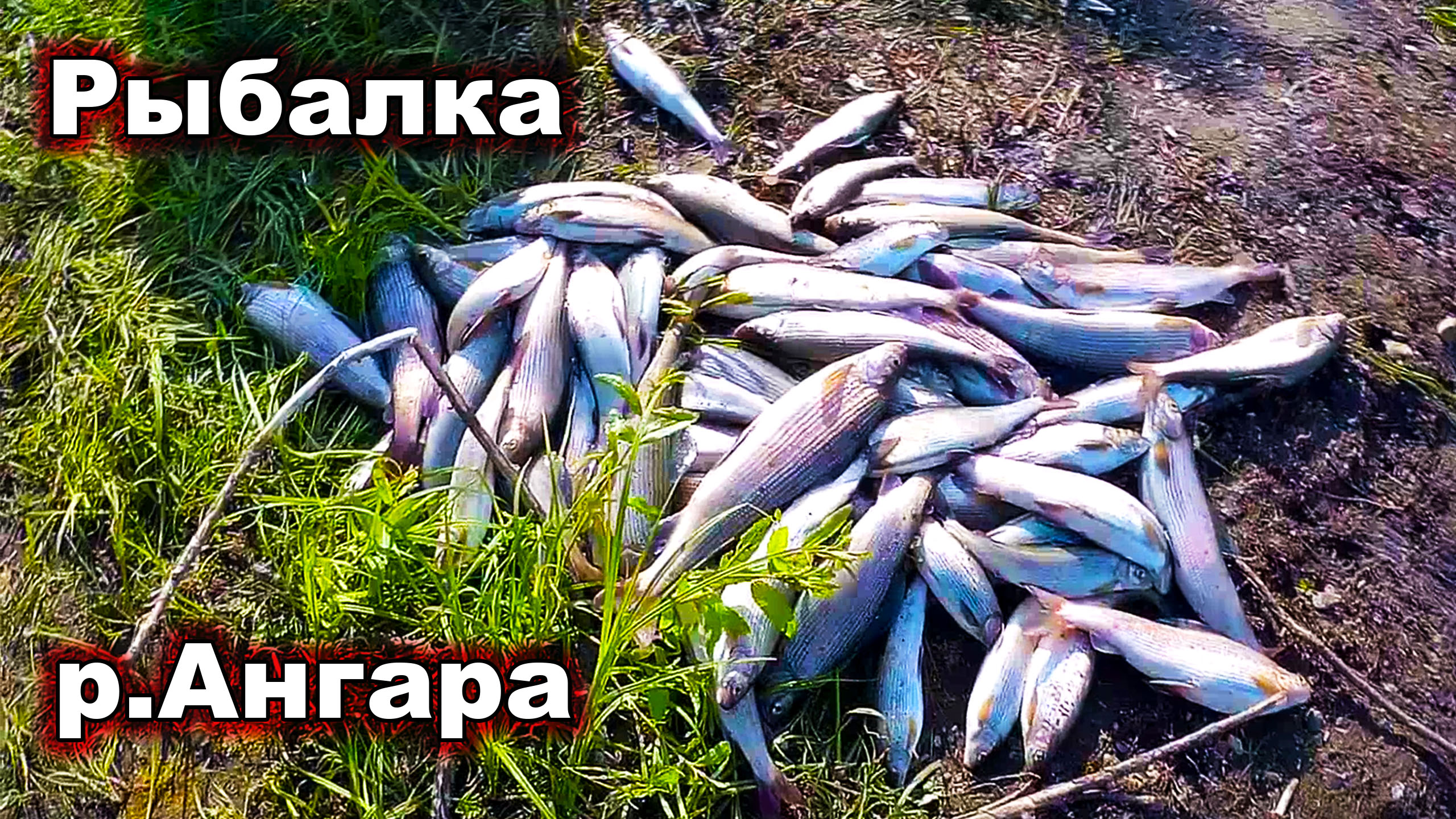 Рыбалка на Ангаре. Открытие сезона смотреть онлайн