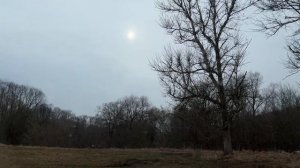 NEW HAVAL DARGO X | какой он? В чем отличие от обычной версии?